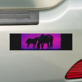 Pferd & Filly Autoaufkleber (Auf Auto)