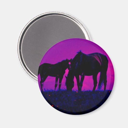 Pferd & Filly Magnet (Vorderseite/Rückseite)