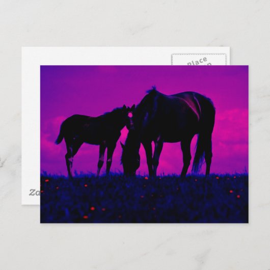 Pferd & Filly Postkarte (Vorne/Hinten)