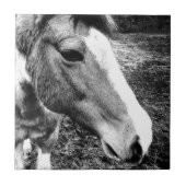 Pferd Fliese (Vorderseite)