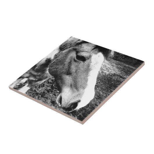 Pferd Fliese (Seite)