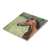 Pferd Fliese (Seite)