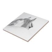 Pferd Fliese (Seite)