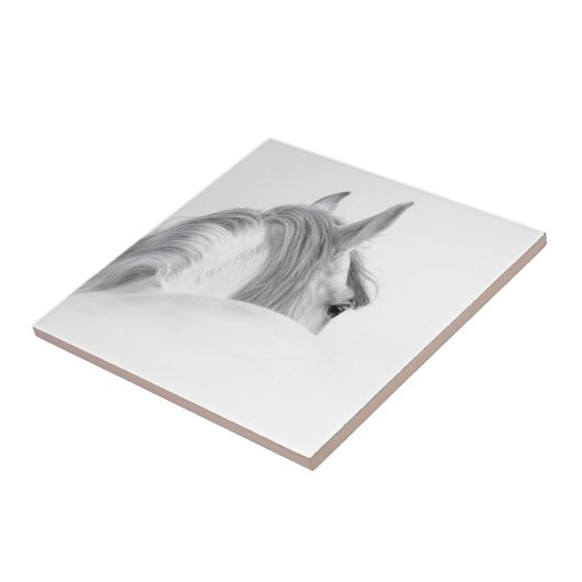 Pferd Fliese (Seite)