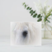 Pferd & Floral Postkarte (Stehend Vorderseite)