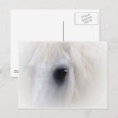 Pferd & Floral Postkarte (Vorne/Hinten)