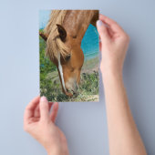Pferd Flyer (Handgriff)