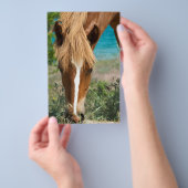 Pferd Flyer (Handgriff)