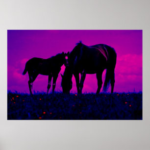Pferd & Fohlen Kunstprint Poster