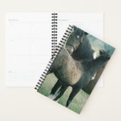 Pferd Foto Equine Mare Foal Planer (Anzeige)