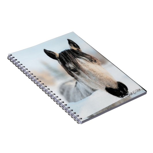 Pferd-Foto Notizblock (Rechte Seite)