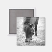 Pferd Foto Zeitlos Keepake Schwarz-weiße Haustiere Magnet (Vorderseite/Rückseite)