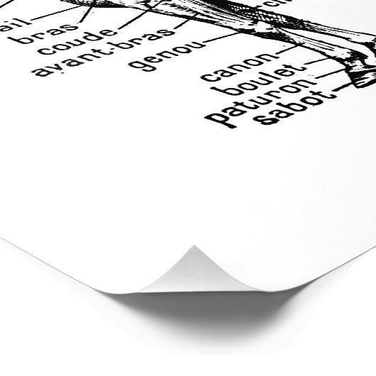 Pferd Fotodruck (Ecke)