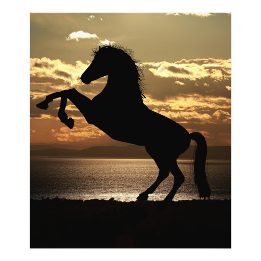 Pferd Fotodruck (Vorne)