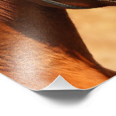 Pferd Fotodruck (Ecke)