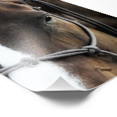 Pferd Fotodruck (Ecke)