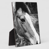 Pferd Fotoplatte (Seite)