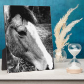 Pferd Fotoplatte (Seite)