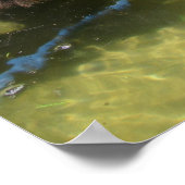 Pferd-Freunde trinken Poster (Ecke)