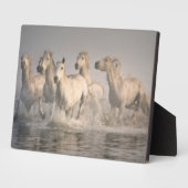 Pferd Galopp im Mittelmeer Fotoplatte (Seite)