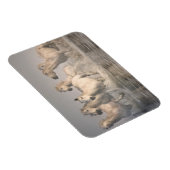 Pferd Galopp im Mittelmeer Magnet (Rechte Seite)