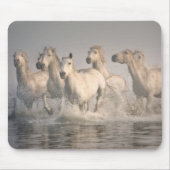 Pferd Galopp im Mittelmeer Mousepad (Vorne)