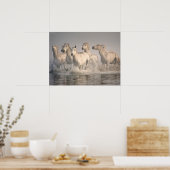 Pferd Galopp im Mittelmeer Poster (Küche)