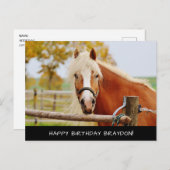 Pferd Geburtstagskarte Postkarte (Vorne/Hinten)