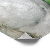 Pferd Gefüttert Poster (Ecke)