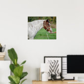 Pferd Gefüttert Poster (Heimbüro)