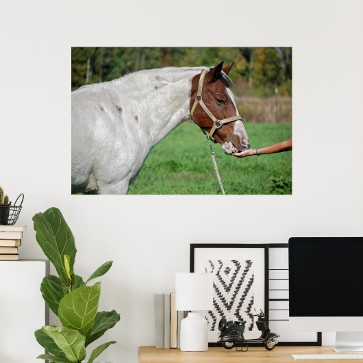 Pferd Gefüttert Poster (Heimbüro)