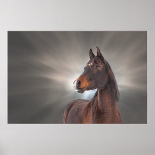 Pferd gegen Wolken Poster