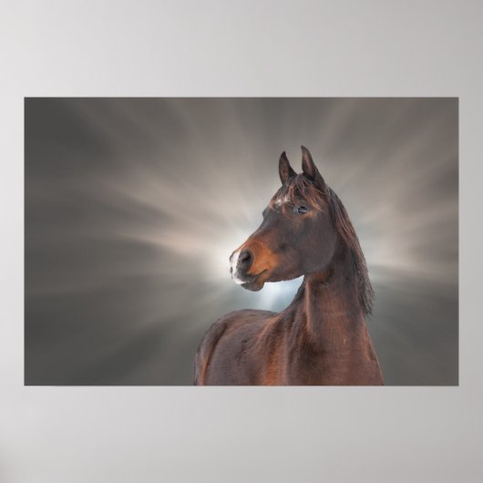 Pferd gegen Wolken Poster (Vorne)