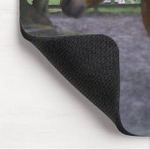 Pferd genannter Cruz Mousepad (Ecke)