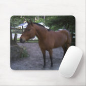 Pferd genannter Cruz Mousepad (Mit Mouse)