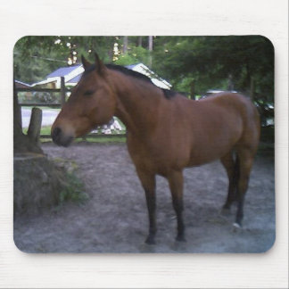 Pferd genannter Cruz Mousepad