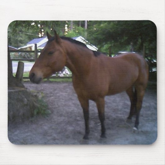 Pferd genannter Cruz Mousepad (Vorne)