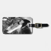 Pferd Gepäckanhänger (Vorderseite horizontal)