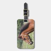 Pferd Gepäckanhänger (Vorderseite vertikal)