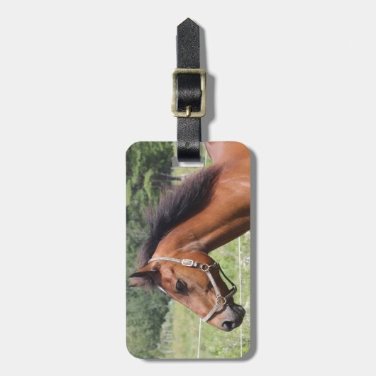 Pferd Gepäckanhänger (Vorderseite vertikal)