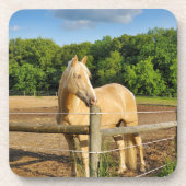 Pferd Getränkeuntersetzer (Vorderseite)