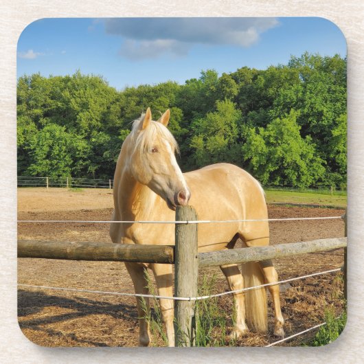Pferd Getränkeuntersetzer (Vorderseite)