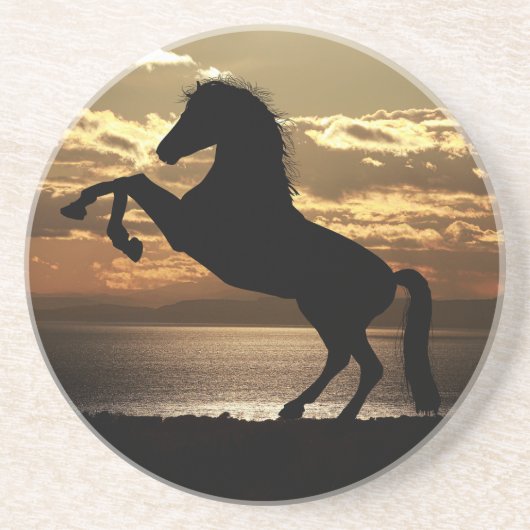 Pferd Getränkeuntersetzer (Vorne)