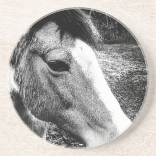 Pferd Getränkeuntersetzer