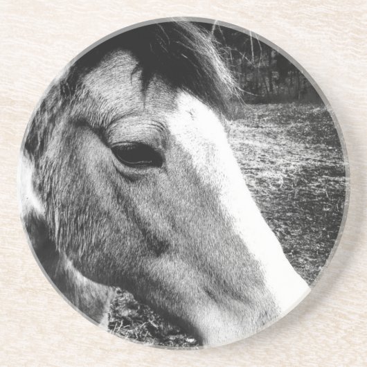 Pferd Getränkeuntersetzer (Vorne)