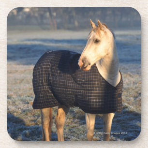 Pferd Getränkeuntersetzer