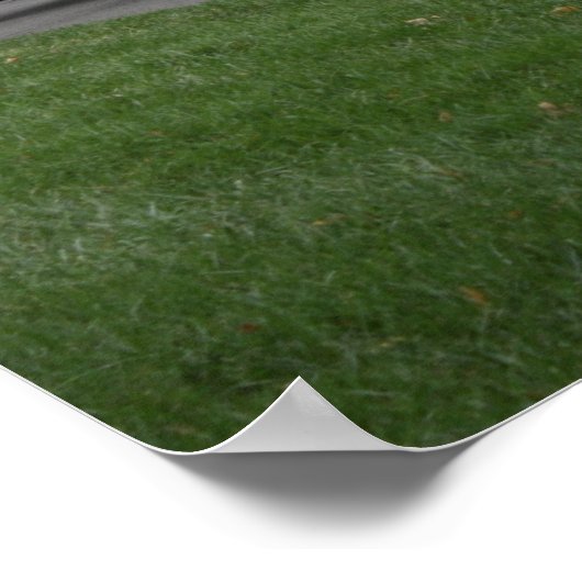 Pferd gezeichnet Caisson Arlington Friedhof Poster (Ecke)