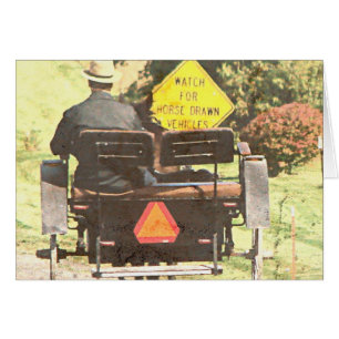 Pferd Gezeichnet Echos, Amphipferd und Buggy