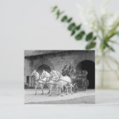 Pferd Gezeichnet Feuerwehrschiff, 1922 Postkarte (Stehend Vorderseite)