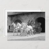 Pferd Gezeichnet Feuerwehrschiff, 1922 Postkarte (Vorne/Hinten)